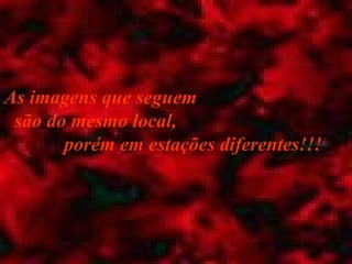 As imagens que seguem
 são do mesmo local,
       porém em estações diferentes!!!
 