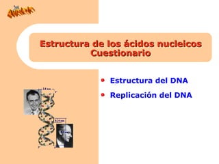 Estructura de los ácidos nucleicos
          Cuestionario


              Estructura del DNA

              Replicación del DNA
 