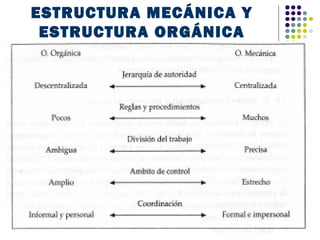 ESTRUCTURA MECÁNICA Y
 ESTRUCTURA ORGÁNICA
 