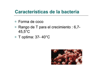 Características de la bacteria
o Forma de coco
o Rango de T para el crecimiento : 6,7-
45,5°C
o T optima: 37- 40°C
 