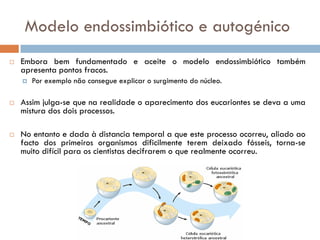 Modelo endossimbiótico e autogénico
   Embora bem fundamentado e aceite o modelo endossimbiótico também
    apresenta pon...