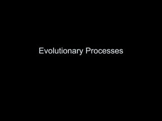 Evolutionary Processes
 