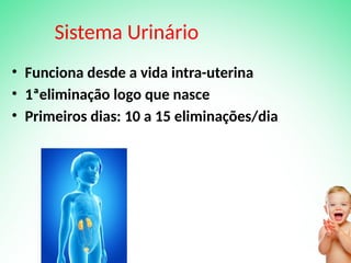 Sistema Urinário
• Funciona desde a vida intra-uterina
• 1ªeliminação logo que nasce
• Primeiros dias: 10 a 15 eliminações/dia
 