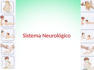 Sistema Neurológico
 