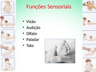 Funções Sensoriais
• Visão
• Audição
• Olfato
• Paladar
• Tato
 