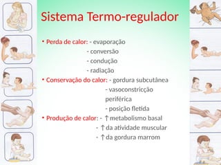 Sistema Termo-regulador
• Perda de calor: - evaporação
- conversão
- condução
- radiação
• Conservação do calor: - gordura subcutânea
- vasoconstricção
periférica
- posição fletida
• Produção de calor: - ↑metabolismo basal
- ↑da atividade muscular
- ↑da gordura marrom
 
