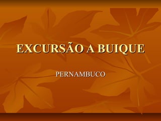 EXCURSÃO A BUIQUEEXCURSÃO A BUIQUE
PERNAMBUCOPERNAMBUCO
 