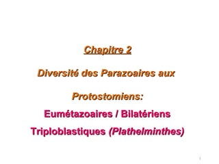 1
Chapitre 2Chapitre 2
Diversité des Parazoaires auxDiversité des Parazoaires aux
Protostomiens:Protostomiens:
Eumétazoaires / BilatériensEumétazoaires / Bilatériens
TriploblastiquesTriploblastiques (Plathelminthes)(Plathelminthes)
 