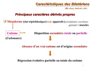 Caractéristiques des BilatériensCaractéristiques des Bilatériens
3
(Bi: deux, latéral: côté)
Principaux caractères dérivés propresPrincipaux caractères dérivés propres
 Mésoderme (état triploblastique) appareils (circulatoire, excréteur,
génital) + muscles
Cœlome
(Cœlomates)
Disparition secondaire totale ou partielle
Absence d’un vrai cœlome est d’origine secondaire
Régression évolutive partielle ou totale du cœlome
 