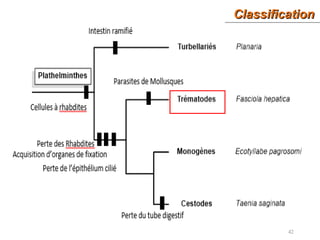 ClassificationClassification
42
 