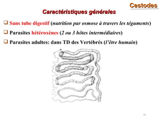 CestodesCestodes
54
 Sans tube digestif (nutrition par osmose à travers les téguments)
 Parasites hétéroxènes (2 ou 3 hôtes intermédiaires)
 Parasites adultes: dans TD des Vertébrés (l’être humain)
Caractéristiques généralesCaractéristiques générales
 