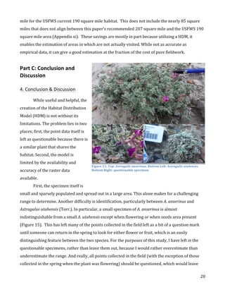   20	
  
mile	
  for	
  the	
  USFWS	
  current	
  190	
  square	
  mile	
  habitat.	
  	
  This	
  does	
  not	
  include	
  the	
  nearly	
  85	
  square	
  
miles	
  that	
  does	
  not	
  align	
  between	
  this	
  paper’s	
  recommended	
  207	
  square	
  mile	
  and	
  the	
  USFWS	
  190	
  
square	
  mile	
  area	
  (Appendix	
  xi).	
  	
  These	
  savings	
  are	
  mostly	
  in	
  part	
  because	
  utilizing	
  a	
  HDM,	
  it	
  
enables	
  the	
  estimation	
  of	
  areas	
  in	
  which	
  are	
  not	
  actually	
  visited.	
  While	
  not	
  as	
  accurate	
  as	
  
empirical	
  data,	
  it	
  can	
  give	
  a	
  good	
  estimation	
  at	
  the	
  fraction	
  of	
  the	
  cost	
  of	
  pure	
  fieldwork.	
  	
  
	
  
Part	
  C:	
  Conclusion	
  and	
  
Discussion	
  
	
  
4.	
  Conclusion	
  &	
  Discussion	
  
	
   	
  
	
   While	
  useful	
  and	
  helpful,	
  the	
  
creation	
  of	
  the	
  Habitat	
  Distribution	
  
Model	
  (HDM)	
  is	
  not	
  without	
  its	
  
limitations.	
  The	
  problem	
  lies	
  in	
  two	
  
places;	
  first,	
  the	
  point	
  data	
  itself	
  is	
  
left	
  as	
  questionable	
  because	
  there	
  is	
  
a	
  similar	
  plant	
  that	
  shares	
  the	
  
habitat.	
  Second,	
  the	
  model	
  is	
  
limited	
  by	
  the	
  availability	
  and	
  
accuracy	
  of	
  the	
  raster	
  data	
  
available.	
  	
   	
  
First,	
  the	
  specimen	
  itself	
  is	
  
small	
  and	
  sparsely	
  populated	
  and	
  spread	
  out	
  in	
  a	
  large	
  area.	
  This	
  alone	
  makes	
  for	
  a	
  challenging	
  
range	
  to	
  determine.	
  Another	
  difficulty	
  is	
  identification,	
  particularly	
  between	
  A.	
  anserinus	
  and	
  
Astragalus	
  utahensis	
  (Torr.).	
  In	
  particular,	
  a	
  small	
  specimen	
  of	
  A.	
  anserinus	
  is	
  almost	
  
indistinguishable	
  from	
  a	
  small	
  A.	
  utahensis	
  except	
  when	
  flowering	
  or	
  when	
  seeds	
  area	
  present	
  
(Figure	
  15).	
  	
  This	
  has	
  left	
  many	
  of	
  the	
  points	
  collected	
  in	
  the	
  field	
  left	
  as	
  a	
  bit	
  of	
  a	
  question	
  mark	
  
until	
  someone	
  can	
  return	
  in	
  the	
  spring	
  to	
  look	
  for	
  either	
  flower	
  or	
  fruit,	
  which	
  is	
  an	
  easily	
  
distinguishing	
  feature	
  between	
  the	
  two	
  species.	
  For	
  the	
  purposes	
  of	
  this	
  study,	
  I	
  have	
  left	
  in	
  the	
  
questionable	
  specimens,	
  rather	
  than	
  leave	
  them	
  out,	
  because	
  I	
  would	
  rather	
  overestimate	
  than	
  
underestimate	
  the	
  range.	
  And	
  really,	
  all	
  points	
  collected	
  in	
  the	
  field	
  (with	
  the	
  exception	
  of	
  those	
  
collected	
  in	
  the	
  spring	
  when	
  the	
  plant	
  was	
  flowering)	
  should	
  be	
  questioned,	
  which	
  would	
  leave	
  
Figure	
  15:	
  Top:	
  Astragalis	
  anserinus.	
  Bottom	
  Left:	
  Astragalis	
  utahensis.	
  
Bottom	
  Right:	
  questionable	
  specimen.	
  
	
  
 