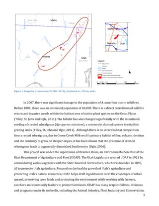   5	
  
Figure	
  1:	
  Range	
  for	
  A.	
  anserinus	
  (US	
  FWS,	
  2014),	
  calculated	
  at	
  ~190	
  sq.	
  miles	
  
	
  
In	
  2007,	
  there	
  was	
  significant	
  damage	
  to	
  the	
  population	
  of	
  A.	
  anserinus	
  due	
  to	
  wildfires.	
  
Before	
  2007,	
  there	
  was	
  an	
  estimated	
  population	
  of	
  60,000.	
  There	
  is	
  a	
  direct	
  correlation	
  of	
  wildfire	
  
return	
  and	
  invasive	
  weeds	
  within	
  the	
  habitat	
  area	
  of	
  native	
  plant	
  species	
  on	
  the	
  Great	
  Plains	
  
(Tilley,	
  St.	
  John	
  and	
  Ogle,	
  2011).	
  The	
  habitat	
  has	
  also	
  changed	
  significantly	
  with	
  the	
  intentional	
  
seeding	
  of	
  crested	
  wheatgrass	
  (Agropyron	
  cristatum),	
  a	
  commonly	
  planted	
  species	
  to	
  establish	
  
grazing	
  lands	
  (Tilley,	
  St.	
  John	
  and	
  Ogle,	
  2011).	
  	
  Although	
  there	
  is	
  no	
  direct	
  habitat	
  competition	
  
from	
  crested	
  wheatgrass,	
  due	
  to	
  Goose	
  Creek	
  Milkvetch’s	
  primary	
  habitat	
  of	
  fine,	
  volcanic	
  detritus	
  
and	
  the	
  tendency	
  to	
  grow	
  on	
  steeper	
  slopes,	
  it	
  has	
  been	
  shown	
  that	
  the	
  presence	
  of	
  crested	
  
wheatgrass	
  leads	
  to	
  a	
  generally	
  diminished	
  biodiversity	
  (Ogle,	
  2006).	
  	
  
This	
  project	
  was	
  under	
  the	
  supervision	
  of	
  Bracken	
  Davis,	
  an	
  Environmental	
  Scientist	
  at	
  the	
  
Utah	
  Department	
  of	
  Agriculture	
  and	
  Food	
  (UDAF).	
  The	
  Utah	
  Legislature	
  created	
  UDAF	
  in	
  1921	
  by	
  
consolidating	
  various	
  agencies	
  with	
  the	
  State	
  Board	
  of	
  Horticulture,	
  which	
  was	
  founded	
  in	
  1896,	
  
all	
  to	
  promote	
  Utah	
  agriculture.	
  Focused	
  on	
  the	
  healthy	
  growth	
  of	
  Utah’s	
  agriculture	
  and	
  
protecting	
  Utah’s	
  natural	
  resources,	
  UDAF	
  helps	
  draft	
  legislation	
  to	
  meet	
  the	
  challenges	
  of	
  urban	
  
sprawl,	
  preserving	
  open	
  lands	
  and	
  protecting	
  the	
  environment	
  while	
  working	
  with	
  farmers,	
  
ranchers	
  and	
  community	
  leaders	
  to	
  protect	
  farmlands.	
  UDAF	
  has	
  many	
  responsibilities,	
  divisions	
  
and	
  programs	
  under	
  its	
  umbrella,	
  including	
  the	
  Animal	
  Industry,	
  Plant	
  Industry	
  and	
  Conservation,	
  
 