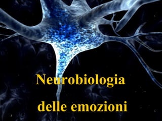 Neurobiologia
delle emozioni
 
