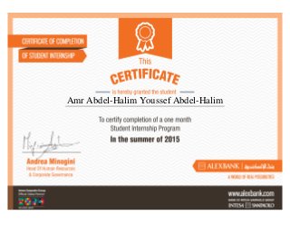 Amr Abdel-Halim Youssef Abdel-Halim
 
