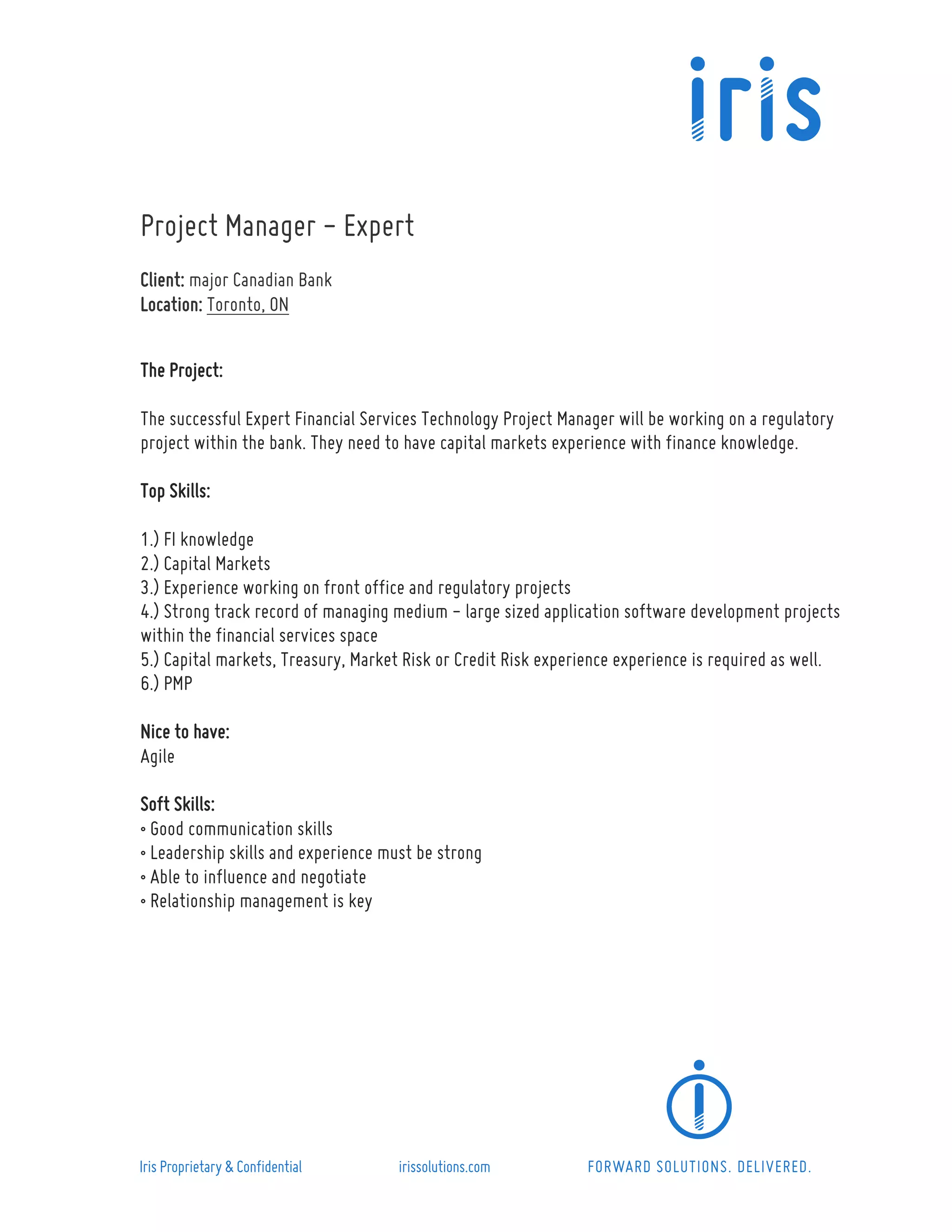 Project Manager - Expert | PDF