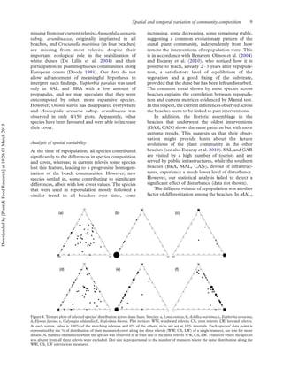 missing from our current releve´s; Ammophila arenaria
subsp. arundinacea, originally implanted in all
beaches, and Crucianella maritima (in four beaches)
are missing from most releve´s, despite their
important ecological role in the stabilization of
white dunes (De Lillis et al. 2004) and their
participation in psammophilous communities along
European coasts (Doody 1991). Our data do not
allow advancement of meaningful hypothesis to
interpret such ﬁndings. Euphorbia paralias was used
only in SAL and BRA with a low amount of
propagules, and we may speculate that they were
outcompeted by other, more expansive species.
However, Ononis natrix has disappeared everywhere
and Ammophila arenaria subsp. arundinacea was
observed in only 4/150 plots. Apparently, other
species have been favoured and were able to increase
their cover.
Analysis of spatial variability
At the time of repopulation, all species contributed
signiﬁcantly to the differences in species composition
and cover, whereas; in current releve´s some species
lost this feature, leading to a progressive homogen-
ization of the beach communities. However, new
species settled in, some contributing to signiﬁcant
differences, albeit with low cover values. The species
that were used in repopulation mostly followed a
similar trend in all beaches over time, some
increasing, some decreasing, some remaining stable,
suggesting a common evolutionary pattern of the
dunal plant community, independently from how
remote the interventions of repopulation were. This
is in accordance with Benavent Olmos et al. (2004)
and Escaray et al. (2010), who noticed how it is
possible to reach, already 2–3 years after repopula-
tion, a satisfactory level of equilibrium of the
vegetation and a good ﬁxing of the substrate,
provided that the dune bar has been left undisturbed.
The common trend shown by most species across
beaches explains the correlation between repopula-
tion and current matrices evidenced by Mantel test.
In this respect, the current differences observedacross
the beaches seem to be linked to past interventions.
In addition, the ﬂoristic assemblage in the
beaches that underwent the oldest interventions
(GAR, CAN) shows the same patterns but with more
extreme trends. This suggests us that their obser-
vation might provide hints about the future
evolutions of the plant community in the other
beaches (see also Escaray et al. 2010). SAL and GAR
are visited by a high number of tourists and are
served by public infrastructures, while the southern
beaches (BRA, MAL, CAN), devoid of infrastruc-
tures, experience a much lower level of disturbance.
However, our statistical analysis failed to detect a
signiﬁcant effect of disturbance (data not shown).
The different volume of repopulation was another
factor of differentiation among the beaches. In MAL,
Figure 4. Ternary plots of selected species’distribution across dune faces. Species: a, Lotus creticus; b, Achillea maritima; c, Euphorbia terracina;
d, Elymus farctus; e, Calystegia soldanella; f, Malcolmia littorea. Plot vertices: WW, windward releve´s; CS, crest releve´s; LW, leeward releve´s.
At each vertex, value is 100% of the matching relevees and 0% of the others; ticks are set at 10% intervals. Each species’ data point is
represented by the % of distribution of their measured cover along the three releve´s (WW, CS, LW) of a single transect, see text for more
details. N, number of transects where the species was observed in at least one of the three releve´s WW, CS, LW. Transects where the species
was absent from all three releve´s were excluded. Dot size is proportional to the number of transects where the same distribution along the
WW, CS, LW releve´s was measured.
Spatial and temporal variation of community composition 9
Downloadedby[Plant&FoodResearch]at19:2601March2015
 