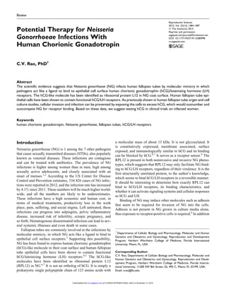 Review
Potential Therapy for Neisseria
Gonorrhoeae Infections With
Human Chorionic Gonadotropin
C.V. Rao, PhD1
Abstract
The scientific evidence suggests that Neisseria gonorrhoeae (NG) infects human fallopian tubes by molecular mimicry in which
pathogens act like a ligand to bind to epithelial cell surface human chorionic gonadotrophin (hCG)/luteinizing hormone (LH)
receptors. The hCG-like molecule has been identified as ribosomal protein L12 in NG coat surface. Human fallopian tube epi-
thelial cells have been shown to contain functional hCG/LH receptors. As previously shown in human fallopian tube organ and cell
culture studies, cellular invasion and infection can be prevented by exposing the cells to excess hCG, which would outnumber and
outcompete NG for receptor binding. Based on these data, we suggest testing hCG in clinical trials on infected women.
Keywords
human chorionic gonadotropin, Neisseria gonorrhoeae, fallopian tubes, hCG/LH receptors
Introduction
Neisseria gonorrhoeae (NG) is 1 among the 7 other pathogens
that cause sexually transmitted diseases (STDs), also popularly
known as venereal diseases. These infections are contagious
and can be treated with antibiotics. The prevalence of NG
infections is higher among women than in men, high among
sexually active adolescents, and closely associated with an
onset of menses.1,2
According to the US Center for Disease
Control and Prevention estimates, 334 826 cases of NG infec-
tions were reported in 2012, and the infection rate has increased
by 4.1% since 2011. These numbers will be much higher world-
wide, and all the numbers are likely to be underestimates.
These infections have a high economic and human cost, in
terms of medical treatments, productivity loss in the work
place, pain, suffering, and social stigma. Left untreated, these
infections can progress into salpingitis, pelvic inflammatory
disease, increased risk of infertility, ectopic pregnancy, and
so forth. Hematogenous disseminated infection can lead to sev-
eral systemic illnesses and even death in some cases.
Fallopian tubes are commonly involved in the infections by
molecular mimicry, in which NG acts like a ligand to bind to
epithelial cell surface receptors.3
Supporting this possibility,
NG has been found to express human chorionic gonadotrophin
(hCG)-like molecule in their coat surface and human fallopian
tube epithelial cells have been shown to contain functional
hCG/luteinizing hormone (LH) receptors.4,5
The hCG-like
molecules have been identified as ribosomal protein L12
(RPL12) in NG.6,7
It is not an ortholog of hCG. It is simply a
prokaryotic single polypeptide chain of 123 amino acids with
a molecular mass of about 13 kDa. It is not glycosylated. It
is constitutively expressed, membrane associated, surface
exposed, and immunologically similar to hCG and its binding
can be blocked by hCG.6,7
It serves as a receptor sensor.6
The
RPL12 is present in both noninvasive and invasive NG pheno-
types, which suggests that RPL12 may only facilitate NG bind-
ing to hCG/LH receptors, regardless of their virulence. It is the
first structurally unrelated protein, to the author’s knowledge,
which seems to bind hCG/LH receptors in a reversible manner.
It should be interesting to determine how exactly RPL12 can
bind to hCG/LH receptors, its binding characteristics, and
whether it can activate signaling systems and cellular responses
as hCG and LH.
Binding of NG may induce other molecules such as adhesin
that seem to be required for invasion of NG into the cells.
Adhesin is not present in NG grown in culture media alone,
thus exposure to receptor-positive cells is required.6
In addition
1
Departments of Cellular Biology and Pharmacology, Molecular and Human
Genetics and Obstetrics and Gynecology, Reproduction and Development
Program, Herbert Wertheim College of Medicine, Florida International
University, Miami, FL, USA
Corresponding Author:
C.V. Rao, Departments of Cellular Biology and Pharmacology, Molecular and
Human Genetics and Obstetrics and Gynecology, Reproduction and Devel-
opment Program, Herbert Wertheim College of Medicine, Florida Interna-
tional University, 11200 SW 8th Street, GL 495 C, Miami, FL 33199, USA.
Email: crao@fiu.edu
Reproductive Sciences
2015, Vol. 22(12) 1484-1487
ª The Author(s) 2015
Reprints and permission:
sagepub.com/journalsPermissions.nav
DOI: 10.1177/1933719115580998
rs.sagepub.com
at FLORIDA INTERNATIONAL UNIV on November 13, 2015rsx.sagepub.comDownloaded from
 