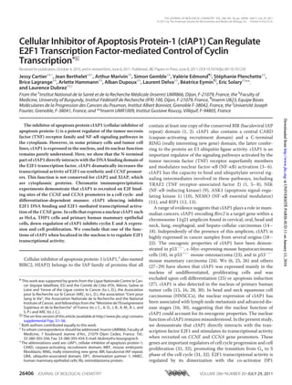 Cellular Inhibitor of Apoptosis Protein-1 (cIAP1) Can Regulate
E2F1 Transcription Factor-mediated Control of Cyclin
Transcription*□S
Received for publication,October 4, 2010, and in revised form, June 6, 2011 Published, JBC Papers in Press,June 8, 2011, DOI 10.1074/jbc.M110.191239
Jessy Cartier‡§1
, Jean Berthelet‡§1
, Arthur Marivin‡§
, Simon Gemble‡§
, Vale´rie Edmond¶ʈ
, Ste´phanie Plenchette‡§
,
Brice Lagrange‡§
, Arlette Hammann‡§
, Alban Dupoux‡§
, Laurent Delva‡§
, Be´atrice Eymin¶ʈ
, Eric Solary‡§
**,
and Laurence Dubrez‡§2
From the ‡
Institut National de la Sante´ et de la Recherche Me´dicale (Inserm) UMR866, Dijon, F-21079, France, the §
Faculty of
Medicine, University of Burgundy, Institut Fe´de´ratif de Recherche (IFR) 100, Dijon, F-21079, France, ¶
Inserm U823, Equipe Bases
Mole´culaires de la Progression des Cancers du Poumon, Institut Albert Bonniot, Grenoble F-38042, France, the ʈ
Universite´ Joseph
Fourier, Grenoble, F-38041, France, and **Inserm UMR1009, Institut Gustave Roussy, Villejuif, F-94805, France
The inhibitor of apoptosis protein cIAP1 (cellular inhibitor of
apoptosis protein-1) is a potent regulator of the tumor necrosis
factor (TNF) receptor family and NF-␬B signaling pathways in
the cytoplasm. However, in some primary cells and tumor cell
lines, cIAP1 is expressed in the nucleus, and its nuclear function
remains poorly understood. Here, we show that the N-terminal
part of cIAP1 directly interacts with the DNA binding domain of
the E2F1 transcription factor. cIAP1 dramatically increases the
transcriptional activity of E2F1 on synthetic and CCNE promot-
ers. This function is not conserved for cIAP2 and XIAP, which
are cytoplasmic proteins. Chromatin immunoprecipitation
experiments demonstrate that cIAP1 is recruited on E2F bind-
ing sites of the CCNE and CCNA promoters in a cell cycle- and
differentiation-dependent manner. cIAP1 silencing inhibits
E2F1 DNA binding and E2F1-mediated transcriptional activa-
tion of the CCNE gene. In cells that express a nuclear cIAP1 such
as HeLa, THP1 cells and primary human mammary epithelial
cells, down-regulation of cIAP1 inhibits cyclin E and A expres-
sion and cell proliferation. We conclude that one of the func-
tions of cIAP1 when localized in the nucleus is to regulate E2F1
transcriptional activity.
Cellular inhibitor of apoptosis protein-1 (cIAP1,3
also named
BIRC2, HIAP2) belongs to the IAP family of proteins that all
contain at least one copy of the conserved BIR (baculoviral IAP
repeat) domain (1, 2). cIAP1 also contains a central CARD
(caspase-activating recruitment domain) and a C-terminal
RING (really interesting new gene) domain, the latter confer-
ring to the protein an E3 ubiquitin ligase activity. cIAP1 is an
important regulator of the signaling pathways activated by the
tumor necrosis factor (TNF) receptor superfamily members
and modulates nuclear factor-␬B (NF-␬B) activation (3–6).
cIAP1 has the capacity to bind and ubiquitylate several sig-
naling intermediates involved in these pathways, including
TRAF2 (TNF receptor-associated factor 2) (1, 5–8), NIK
(NF-␬B-inducing kinase) (9), ASK1 (apoptosis signal-regu-
lating kinase 1) (10), NEMO (NF-␬B essential modulator)
(11), and RIP1 (12, 13).
A range of evidence suggests that cIAP1 plays a role in mam-
malian cancers. cIAP1-encoding Birc2 is a target gene within a
chromosome 11q21 amplicon found in cervical, oral, head and
neck, lung, esophageal, and hepato-cellular carcinomas (14–
18). Independently of the presence of this amplicon, cIAP1 is
highly expressed in cancer samples from several origins (18–
22). The oncogenic properties of cIAP1 have been demon-
strated in p53Ϫ/Ϫ
, c-Myc-expressing mouse hepatocarcinoma
cells (18), in p53ϩ/Ϫ
mouse osteosarcoma (23), and in p53Ϫ/Ϫ
mouse mammary carcinoma (24). We (6, 25, 26) and others
(27–29) have shown that cIAP1 was expressed mainly in the
nucleus of undifferentiated, proliferating cells and was
excluded upon cell differentiation (25) or apoptosis induction
(27). cIAP1 is also detected in the nucleus of primary human
tumor cells (15, 16, 28, 30). In head and neck squamous cell
carcinomas (HNSCCs), the nuclear expression of cIAP1 has
been associated with lymph node metastasis and advanced dis-
ease stages (16, 30), suggesting that the nuclear function of
cIAP1 could account for its oncogenic properties. The nuclear
function of cIAP1 remains misunderstood. In the present study,
we demonstrate that cIAP1 directly interacts with the tran-
scription factor E2F1 and stimulates its transcriptional activity
when recruited on CCNE and CCNA gene promoters. These
genes are important regulators of cell cycle progression and cell
proliferation (31, 32), promoting the transition from G1 to S
phase of the cell cycle (31, 32). E2F1 transcriptional activity is
regulated by its dimerization with the co-activator DP1
* This work was supported by grants from the Ligue Nationale Contre le Can-
cer (e´quipe labellise´e, ES) and the Comite´ de Coˆte d’Or, Nie`vre, Saoˆne et
Loire and Yonne of the Ligue contre le Cancer (to L. D.), the Association
pour la Recherche sur le Cancer (ARC, to L. D.), the association “Cent pour
Sang la Vie”, the Association Nationale de la Recherche and the National
Institute of Cancer, and fellowships from the “Ministe`re de l’Enseignement
Supe´rieur et de la Recherche” of France (to J. C., A. D., J. B., A. M., B. L. and
S. P.) and ARC (to J. C.).
□S
The on-line version of this article (available at http://www.jbc.org) contains
supplemental Figs. S1–S6.
1
Both authors contributed equally to this work.
2
To whom correspondence should be addressed: Inserm UMR866, Faculty of
Medicine, 7 boulevard Jeanne d’Arc, 21079 Dijon Cedex, France. Tel.:
33-380-393-356; Fax: 33-380-393-434; E-mail: ldubrez@u-bourgogne.fr.
3
The abbreviations used are: cIAP1, cellular inhibitor of apoptosis protein-1;
CARD, caspase-activating recruitment domain; MEF, mouse embryonic
fibroblasts; RING, really interesting new gene; BIR, baculoviral IAP repeat;
UBA, ubiquitin-associated domain; DP1, dimerization partner 1; HMEC,
human mammary epithelial cells; Rb, retinoblastoma protein.
THE JOURNAL OF BIOLOGICAL CHEMISTRY VOL. 286, NO. 30, pp. 26406–26417, July 29, 2011
© 2011 by The American Society for Biochemistry and Molecular Biology, Inc. Printed in the U.S.A.
26406 JOURNAL OF BIOLOGICAL CHEMISTRY VOLUME 286•NUMBER 30•JULY 29, 2011
atUNIVERSITÉPARIS-SUD11onJanuary13,2016http://www.jbc.org/DownloadedfromatUNIVERSITÉPARIS-SUD11onJanuary13,2016http://www.jbc.org/DownloadedfromatUNIVERSITÉPARIS-SUD11onJanuary13,2016http://www.jbc.org/DownloadedfromatUNIVERSITÉPARIS-SUD11onJanuary13,2016http://www.jbc.org/DownloadedfromatUNIVERSITÉPARIS-SUD11onJanuary13,2016http://www.jbc.org/DownloadedfromatUNIVERSITÉPARIS-SUD11onJanuary13,2016http://www.jbc.org/DownloadedfromatUNIVERSITÉPARIS-SUD11onJanuary13,2016http://www.jbc.org/DownloadedfromatUNIVERSITÉPARIS-SUD11onJanuary13,2016http://www.jbc.org/DownloadedfromatUNIVERSITÉPARIS-SUD11onJanuary13,2016http://www.jbc.org/DownloadedfromatUNIVERSITÉPARIS-SUD11onJanuary13,2016http://www.jbc.org/Downloadedfrom
 