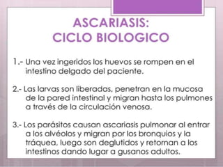 Parasitosis intestinal