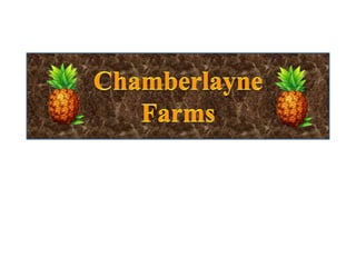 chamberlayne farmsartwork