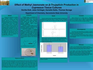 Effect of Methyl Jasmonate on β-Thujaplicin Production in
Cupressus Tissue Cultures
Devika Dutt, Jetan Schlegel, Danielle Eakle, Thomas Savage
Department of Chemistry, Sacramento State University
Abstract
The goal of this experiment is to establish
whether ß-thujaplicin production in Cupressus
tissue cultures can be enhanced using methyl
jasmonate. Improving the production of this
antifungal compound requires an understanding of
the biosynthetic pathway, which can be elucidated
in experiments with Cupressus tissue cultures
producing significant amounts of β-thujaplicin.
Cultures were transferred onto fresh media in the
presence and absence of methyl jasmonate. Gas
chromatography-mass spectrometry was used to
analyze ß-thujaplicin accumulation in the cultured
cells. Methyl jasmonate did not increase the levels
of β-thujaplicin that accumulated in the cultures.
This suggests that methyl jasmonate does not
enhance the ability of callus cultures to be used as
an experimental system for elucidating the
biosynthetic pathway to β-thujaplicin.
Results
Cupressus dupreziana callus cultures produced β-thujaplicin as detected by gas
chromatography-mass spectrometry (Figure 3). However, the levels of β-thujaplicin
produced did not increase when the cultures were treated with methyl jasmonate
(Figure 4).
Click to add text
Introduction
β-thujaplicin, (Figure 1) a monoterpene (ten-
carbon molecule) made by cedar trees has very
strong antifungal properties and a very broad
antimicrobial spectrum. These antimicrobial
properties have lead to its usefulness in cosmestics,
clinical products and many other areas.
Furthermore, β-thujaplicin synthesis may be
genetically engineered in plants to improve
resistance to fungal diseases.
β-thujaplicin is primarily obtained from the
heartwood of some species of Cupressaceae trees.
Unfortunately, productivity is extremely low. Thus,
improving β-thujaplicin production is vital.
Improving the production of β-thujaplicin
requires an understanding of the biosynthetic
pathway, which is currently unknown. Experiments
to elucidate the biosynthetic pathway require easy
manipulation of cell culture systems that produce
significant amounts of β-thujaplicin. The primary
goal is to establish whether β-thujaplicin production
in Cupressus tissue cultures can be enhanced with
methyl jasmonate as reported for other Cupressus
species.1, 2
Materials and Methods
The method involves taking cultures (Figure 2) and transferring the cultures onto fresh media and observing the
time course of production of β-thujaplicin in the presence and absence of methyl jasmonate. 0.5 mL of 200 µM
methyl jasmonate in buffer was injected into each Cupressus dupreziana callus on three different plates. Three
control plates were treated with with 0.5 mL buffer without methyl jasmonate. After one week, cultures were
extracted with ethyl acetate and the β-thujaplicin was derivatized to the trimethyl silyl derivative. Gas
chromatography-mass spectrometry was used to confirm β-thujaplicn production in Cupressus tissue cultures.
Gas chromatography-flame ionization detection was used to quantify the amount of β-thujaplicin produced.
References
1. Sakai, K., et al. Improved β-thujaplicin Production in Cupressus
lusitanica Suspension Cultures by Fungal Elicitor and Methyl Jasmonate.
Applications of Microbiology Biotechnology. (2001) 55: 301-305.
2. Aizu, Takayuki., Arima, Yaeno., Hanada, Katsumi., Ikenaga, Satsuki.,
Nakano, Hajime., Kaneko, Takahide., Yasushi, Tsuchida., Human
Metallothionein. Gene Expression Is Upregulated by β-thujaplicin:
Possible Involvement of Protein Kinase C and Reactive Oxygen Species.
Biological & Pharmaceutical Bulletin. (2006) Vol. 29 No. 155
Acknowledgements
We would like to give special thanks to Dr. McCarthy, Dr. Barrena,
Anna Pasqua, Pamela King, the Science Educational Equity Program for
making this research opportunity possible.
We would also like to thank the National Institute of Health for
providing the funds necessary to fund the research project under grant
number GM056645.
Conclusion
Methyl jasmonate did not increase levels of β-thujaplicin
production.The experiment does not suggest that methyl jasmonate
plays a role in β-thujaplicin production. However, a higher concentration
of the methyl jasmonate may enhance β-thujaplicin production.
OH
O
?
Figure 2: Callus Culture Growth of Cupressus dupreziana
Figure 1: Biosynthetic Pathway to β-thujaplicins.
Figure 4: Callus cultures treated with methyl jasmonate did not increase β-thujaplicin
production as expected.
Figure 3: Cupressus dupreziana callus cultures treated with methyl jasmonate
made β-thujaplicin. Upper panel is the total ion chromatography of the derivatized
volatiles extracted from Cupressus dupreziana callus cultures. The arrow
indicates the β-thujaplicin peak. The lower panel is the mass spectrum of the β-
thujaplicin trimethyl silyl derivative.
OPP
↓
 