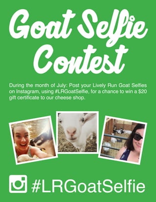Contest
Goat Selfie
#LRGoatSelfie
During the month of July: Post your Lively Run Goat Selfies
on Instagram, using #LRGoatSelfie, for a chance to win a $20
gift certificate to our cheese shop.
 