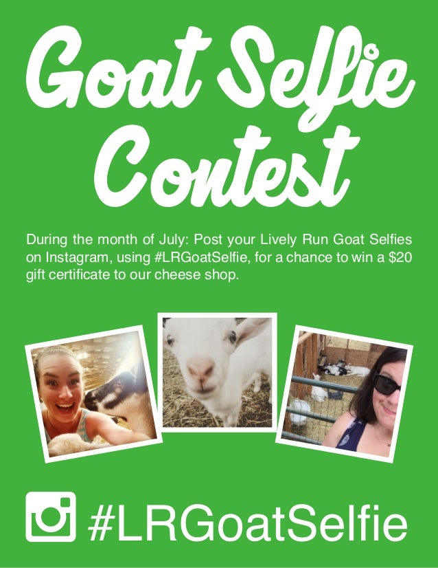 goat selfie contest flyer contest flyer