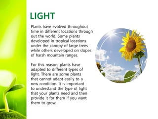 ECOgardener | 4 Factors That Affect Plant Growth | PPTX