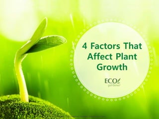 ALLPPT.com _ Free PowerPoint Templates, Diagrams and Charts
4 Factors That
Affect Plant
Growth
 