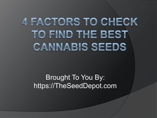 4 Factors to Check to Find the Best Cannabis Seeds Brought To You By: https://TheSeedDepot.com 