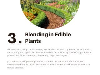 Whether you are planting mums, ornamental peppers, pansies, or any other
variety of your typical fall flower, consider also offering beautiful, yet edible
plants like kales, cabbages, rosemary, sage, and thyme.
Just because the growing season is shorter in the fall, does not mean
homeowners cannot take advantage of some edible crops mixed in with fall
flower classics.
3. Blending in Edible
Plants
 