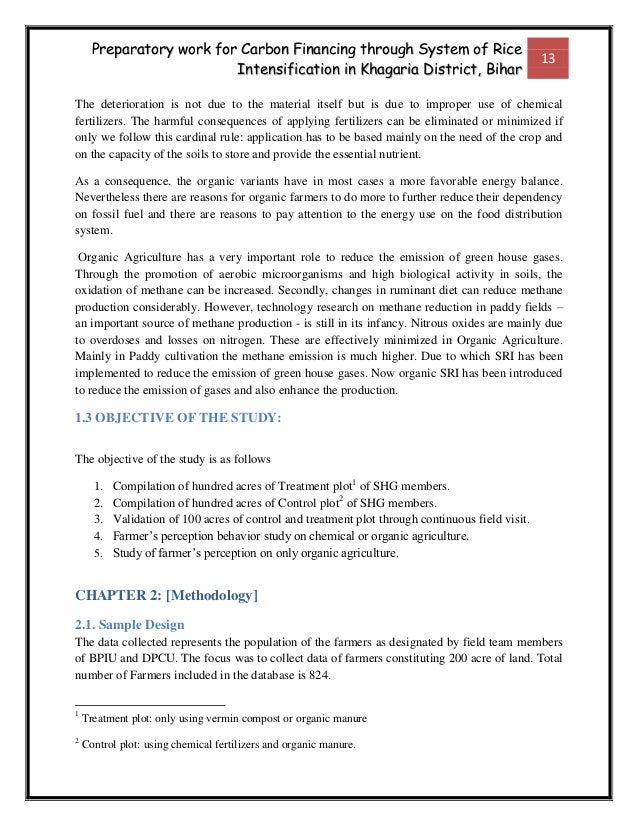 Field Research Report