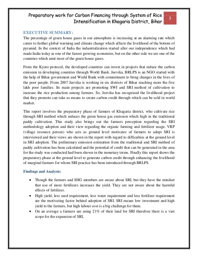 Field Research Report