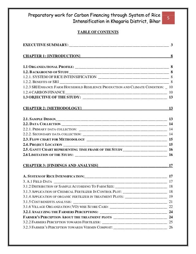 Field Research Report