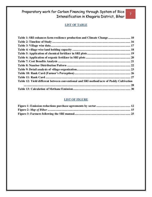 Field Research Report