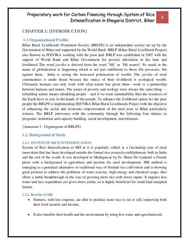 Field Research Report