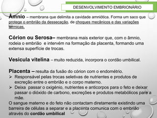 DESENVOLVIMENTO EMBRIONÁRIO
Âmnio – membrana que delimita a cavidade amniótica. Forma um saco que
protege o embrião da dessecação, de choques mecânicos e das variações
térmicas.
Córion ou Serosa– membrana mais exterior que, com o âmnio,
rodeia o embrião e intervém na formação da placenta, formando uma
extensa superfície de trocas.
Vesicula vitelina – muito reduzida, incorpora o cordão umbilical.
Placenta – resulta da fusão do córion com o endométrio.
⮚ Responsável pelas trocas seletivas de nutrientes e produtos de
excreção entre o embrião e o corpo materno.
⮚ Deixa passar o oxigénio, nutrientes e anticorpos para o feto e deixar
passar o dióxido de carbono, excreções e produtos metabólicos para a
mãe.
O sangue materno e do feto não contactam diretamente existindo uma
barreira de células a separar e a placenta comunica com o embrião
através do cordão umbilical
 