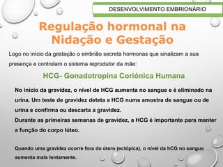 No início da gravidez, o nível de HCG aumenta no sangue e é eliminado na
urina. Um teste de gravidez deteta a HCG numa amostra de sangue ou de
urina e confirma ou descarta a gravidez.
Durante as primeiras semanas de gravidez, a HCG é importante para manter
a função do corpo lúteo.
Quando uma gravidez ocorre fora do útero (ectópica), o nível da hCG no sangue
aumenta mais lentamente.
19
DESENVOLVIMENTO EMBRIONÁRIO
Regulação hormonal na
Nidação e Gestação
Logo no início da gestação o embrião secreta hormonas que sinalizam a sua
presença e controlam o sistema reprodutor da mãe:
HCG- Gonadotropina Coriónica Humana
 