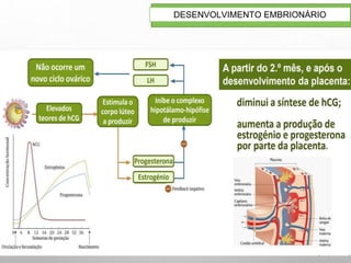20
DESENVOLVIMENTO EMBRIONÁRIO
 