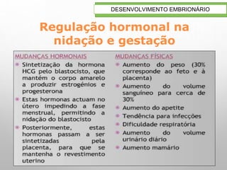 21
DESENVOLVIMENTO EMBRIONÁRIO
Regulação hormonal na
nidação e gestação
 