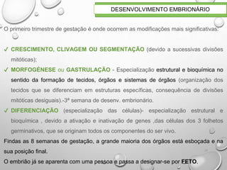 24
DESENVOLVIMENTO EMBRIONÁRIO
O primeiro trimestre de gestação é onde ocorrem as modificações mais significativas:
✔ CRESCIMENTO, CLIVAGEM OU SEGMENTAÇÃO (devido a sucessivas divisões
mitóticas);
✔ MORFOGÉNESE ou GASTRULAÇÃO - Especialização estrutural e bioquímica no
sentido da formação de tecidos, órgãos e sistemas de órgãos (organização dos
tecidos que se diferenciam em estruturas específicas, consequência de divisões
mitóticas desiguais).-3ª semana de desenv. embrionário.
✔ DIFERENCIAÇÃO (especialização das células)- especialização estrutural e
bioquímica , devido a ativação e inativação de genes ,das células dos 3 folhetos
germinativos, que se originam todos os componentes do ser vivo.
Findas as 8 semanas de gestação, a grande maioria dos órgãos está esboçada e na
sua posição final.
O embrião já se aparenta com uma pessoa e passa a designar-se por FETO.
 