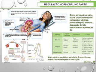 REGULAÇÃO HORMONAL NO PARTO
 