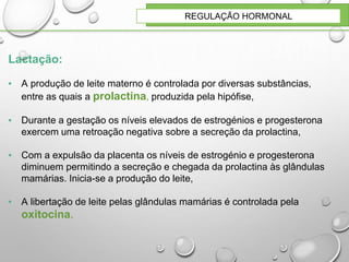 REGULAÇÃO HORMONAL
Lactação:
▪ A produção de leite materno é controlada por diversas substâncias,
entre as quais a prolactina, produzida pela hipófise,
▪ Durante a gestação os níveis elevados de estrogénios e progesterona
exercem uma retroação negativa sobre a secreção da prolactina,
▪ Com a expulsão da placenta os níveis de estrogénio e progesterona
diminuem permitindo a secreção e chegada da prolactina às glândulas
mamárias. Inicia-se a produção do leite,
▪ A libertação de leite pelas glândulas mamárias é controlada pela
oxitocina.
 