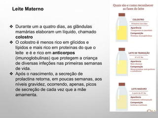 31
❖ Durante um a quatro dias, as glândulas
mamárias elaboram um líquido, chamado
colostro
❖ O colostro é menos rico em glícidos e
lípidos e mais rico em proteínas do que o
leite e é e rico em anticorpos
(imunoglobulinas) que protegem a criança
de diversas infeções nas primeiras semanas
de vida.
❖ Após o nascimento, a secreção de
prolactina retorna, em poucas semanas, aos
níveis gravidez, ocorrendo, apenas, picos
de secreção de cada vez que a mãe
amamenta.
Leite Materno
 