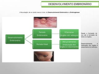 8
DESENVOLVIMENTO EMBRIONÁRIO
A fecundação de um oócito marca o início do Desenvolvimento Embrionário ou Embriogénese
Desde a formação do
ovo até à formação de
todos os órgãos.
Desenvolvimento e
maturação dos órgãos e
crescimento do indivíduo-
 
