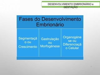 9
DESENVOLVIMENTO EMBRIONÁRIO e
GESTAÇÃO
Fases do Desenvolvimento
Embrionário
Segmentaçã
o ou
Crescimento
Gastrulação
ou
Morfogénese
Organogéne
se ou
Diferenciaçã
o Celular
 