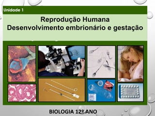 1
BIOLOGIA 12º ANO
Reprodução Humana
Desenvolvimento embrionário e gestação
 