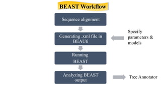 BEAST for Bayesian Evolutionary Analysis and Phylogenetics | PPTX