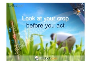 Look at your crop
 before you act
 